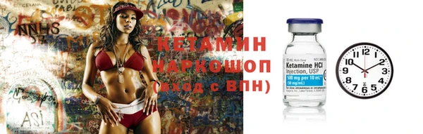 шишки Арсеньев