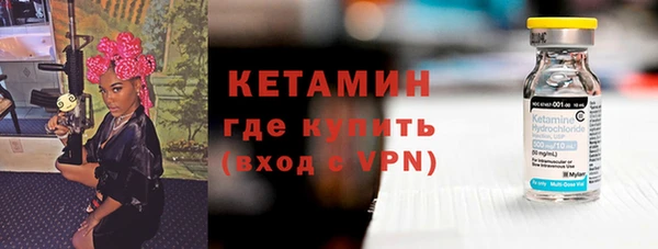 стаф Аркадак