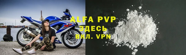 стаф Аркадак