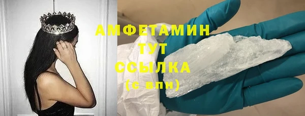 шишки Арсеньев