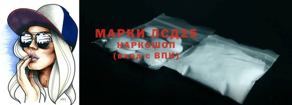 стаф Аркадак