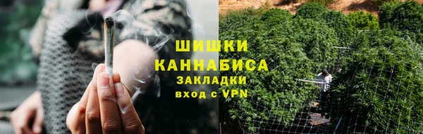 стаф Аркадак