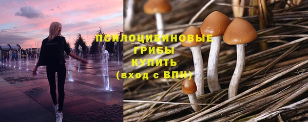 метамфетамин Тихвин