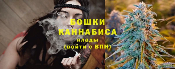 стаф Аркадак