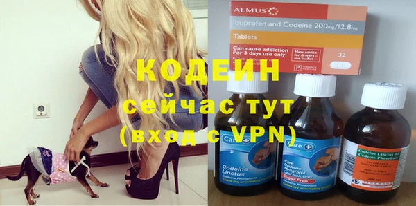 шишки Арсеньев