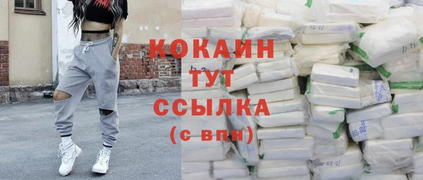 шишки Арсеньев