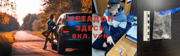 шишки Арсеньев