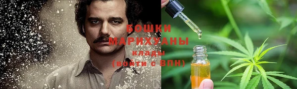 шишки Арсеньев