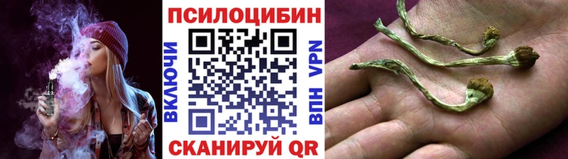 Галлюциногенные грибы Psilocybine cubensis  цена   Артём 